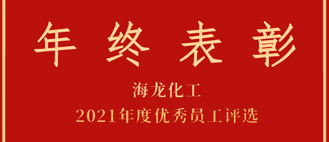 <strong>表彰！海龍化工2021年度優(yōu)秀員工優(yōu)秀部門評選</strong>